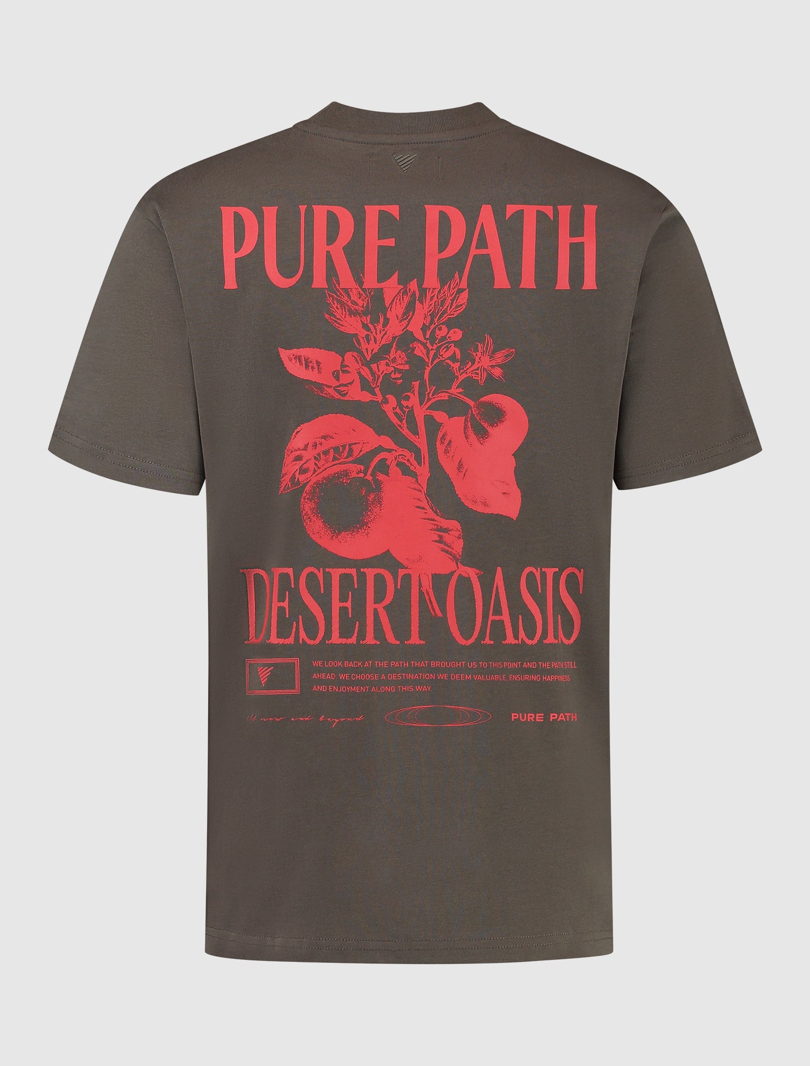 Desert Oasis T-shirt | Brown