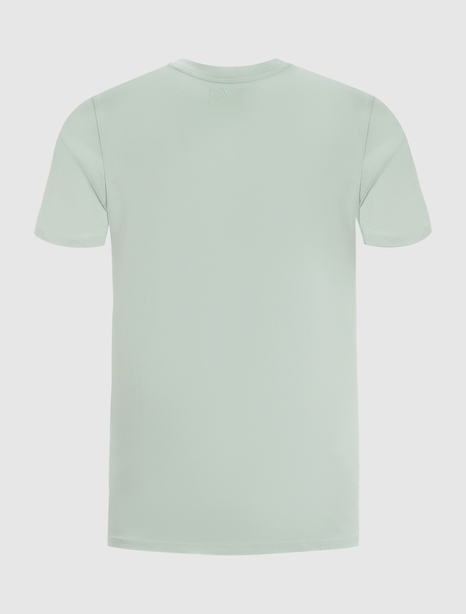 Triangular Wordmark Logo T-shirt | Mint