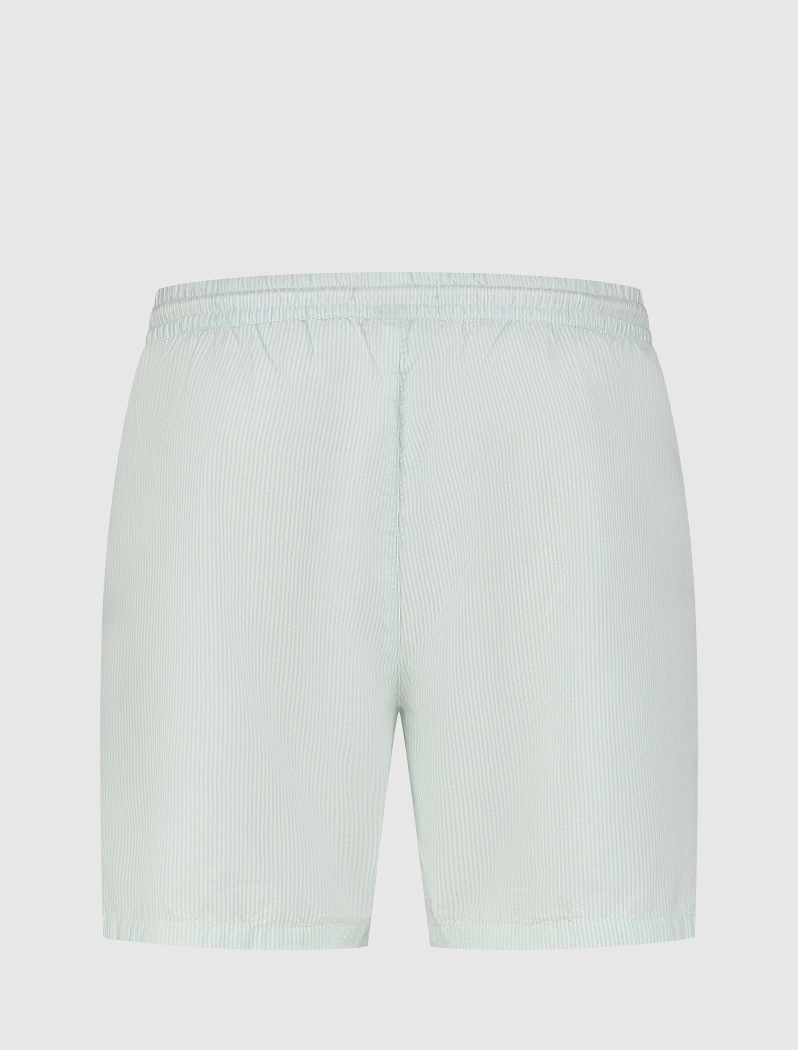 Pinstripe Shorts | Aqua